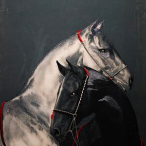 White & Black Stallions